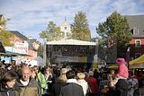zwiebelmarkt-weimar-2011-087