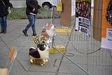 zwiebelmarkt_weimar_2016_295