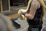 zwiebelmarkt_weimar_2016_318