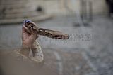zwiebelmarkt_weimar_2016_319