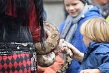 zwiebelmarkt_weimar_2016_323