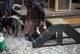 zwiebelmarkt_weimar_2016_353