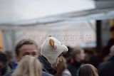 zwiebelmarkt_weimar_2016_395