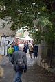 zwiebelmarkt_weimar_2016_567