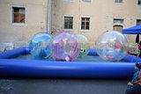 zwiebelmarkt_weimar_2016_572