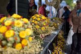 zwiebelmarkt_weimar_2016_590