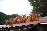 zwiebelmarkt_weimar_2016_592