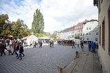 zwiebelmarkt_weimar_2016_594