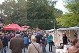 zwiebelmarkt_weimar_2016_598