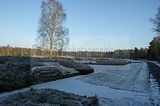 bergen-belsen-21