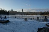 bergen-belsen-28