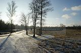 bergen-belsen-31