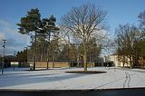 bergen-belsen-37