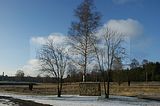 bergen-belsen-40