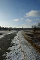 bergen-belsen-6