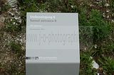 mittelbau-dora-060