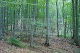 mittelbau-dora-126