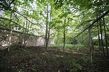 3_seiten_hof_05_2016_005