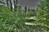 3_seiten_hof_05_2016_158