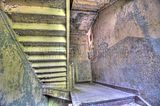 3_seiten_hof_05_2016_267