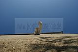 abrissgebiet-058