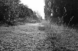 abrissgebiet-010