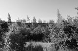 abrissgebiet-099