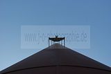bahnanlage-082009-005