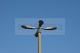 bahnanlage-082009-010