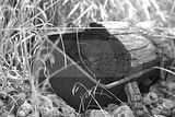 bahnanlage-082009-031