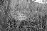 bahnanlage-082009-047