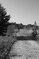 bahnanlage-082009-123