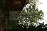 beelitz-heilstaetten-18