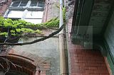 beelitz-heilstaetten-35