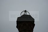 beelitz-heilstaetten-44