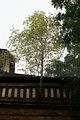 beelitz-heilstaetten-91