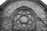beelitz-heilstaetten-52