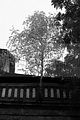 beelitz-heilstaetten-91