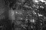beelitz-heilstaetten-92