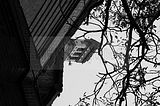 beelitz-heilstaetten-96