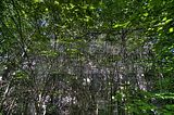 273---AUSSEN---Biermann-Villa-Gera