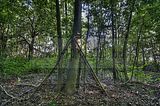281---AUSSEN---Biermann-Villa-Gera