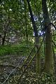 283---AUSSEN---Biermann-Villa-Gera