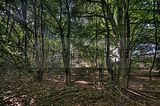 284---AUSSEN---Biermann-Villa-Gera