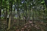 285---AUSSEN---Biermann-Villa-Gera