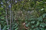 293---AUSSEN---Biermann-Villa-Gera