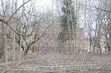 306---AUSSEN---Biermann-Villa-Gera