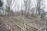 307---AUSSEN---Biermann-Villa-Gera