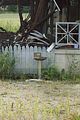 burnt-down-house-013