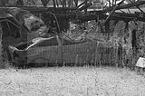 burnt-down-house-009